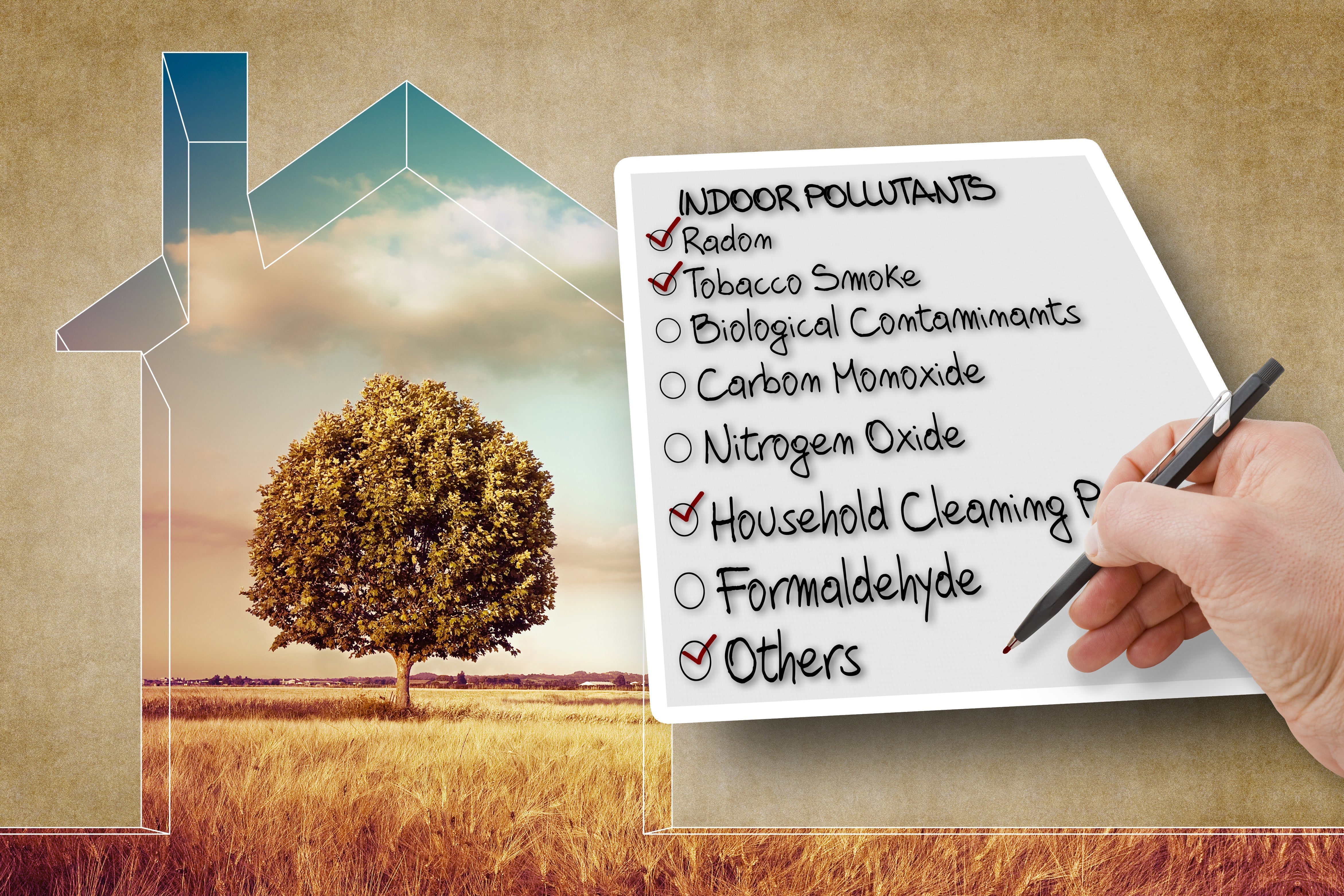 Indoor Air Quality Standards