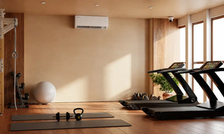 Garage gym with mini split AC
