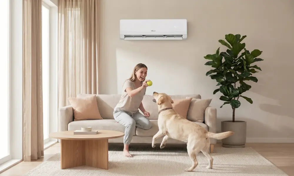 Wall mounted mini split living room