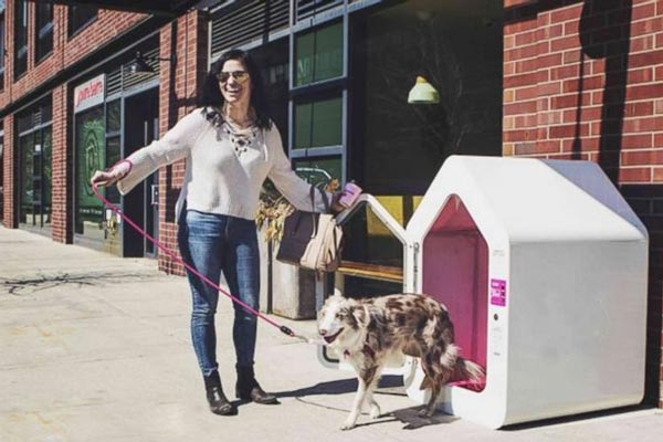 Do You Need An Air Conditioner For Your Dog House?