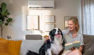 Cooling Your Study Space: A 2025 Air Conditioner Buying Guide