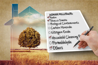 Indoor Air Quality Standards